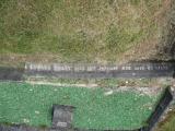 image of grave number 891880